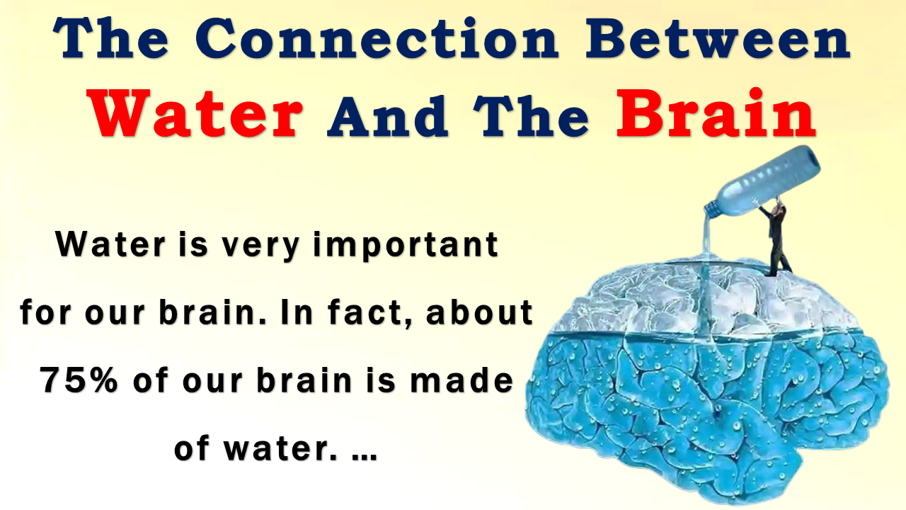 The Connection Between Water and the Brain: How Hydration Boosts Focus